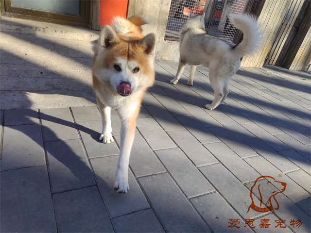 大熊小七 (1).jpg