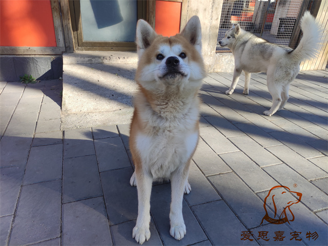 大熊小七 (2).jpg