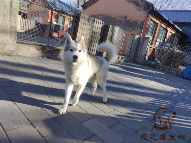 大熊小七 (3).jpg