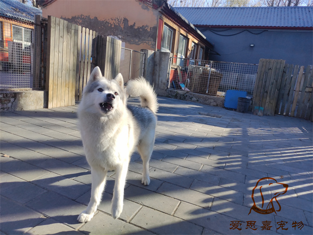 大熊小七 (4).jpg