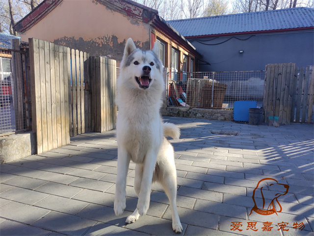 大熊小七 (5).jpg