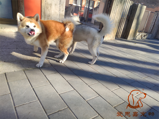 大熊小七 (6).jpg