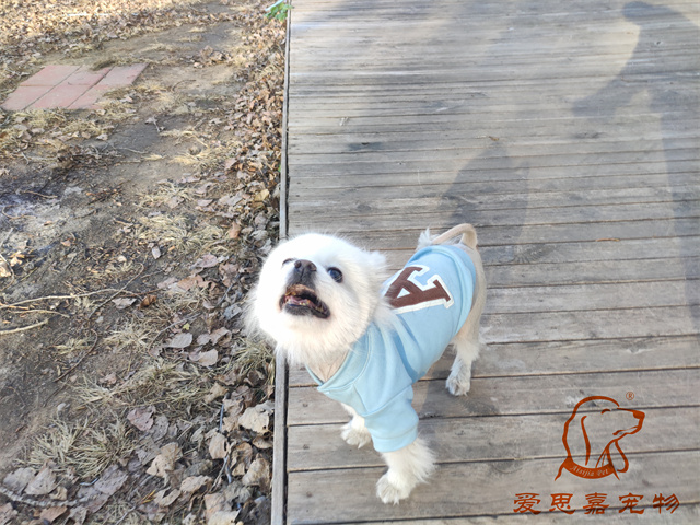 小白小黑 (3).jpg