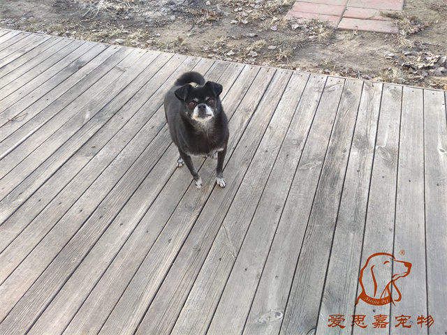 小白小黑 (6).jpg