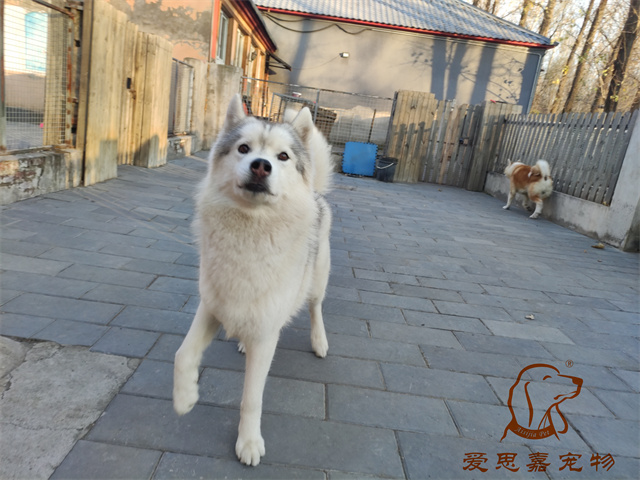 大熊小七 (2).jpg