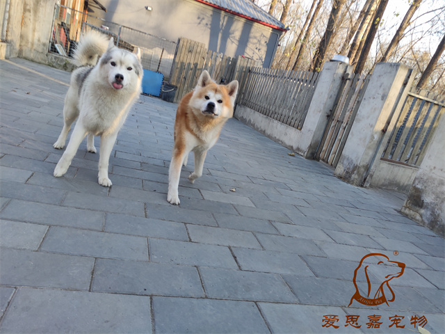 大熊小七 (3).jpg