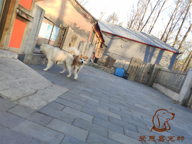 大熊小七 (4).jpg