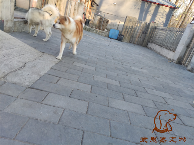 大熊小七 (5).jpg