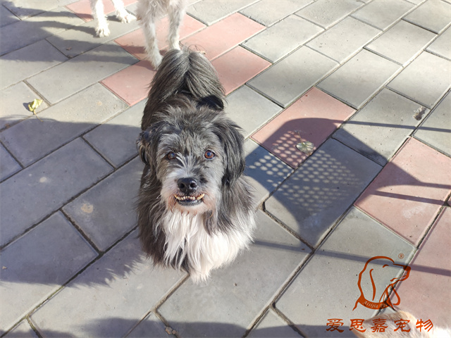 胖丫妞妞 (5).jpg