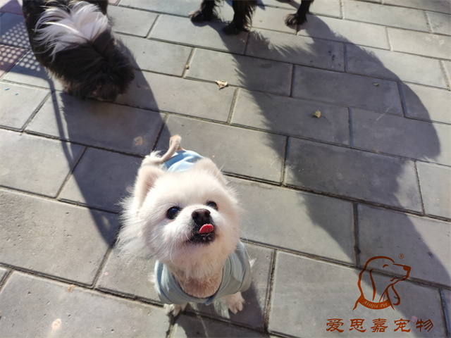 小白小黑 (2).jpg