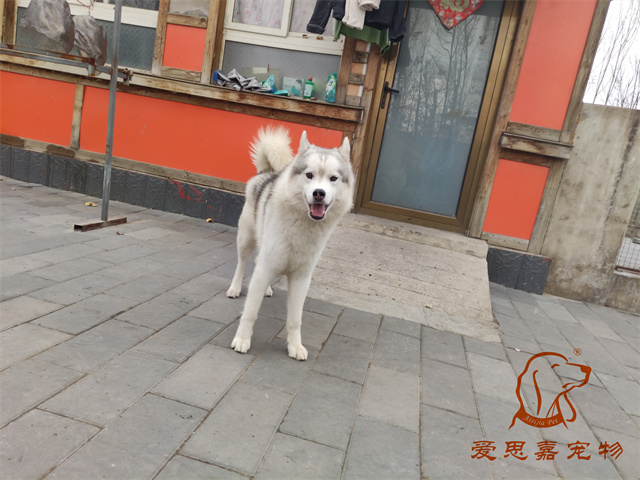 大熊小七 (1).jpg