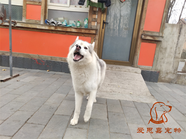 大熊小七 (2).jpg