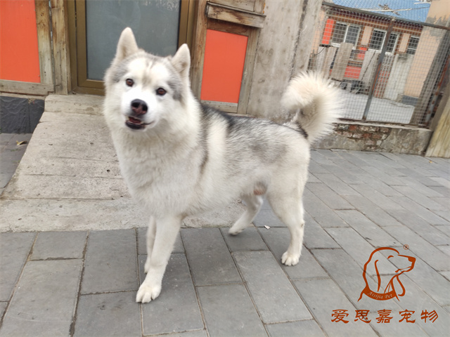 大熊小七 (3).jpg