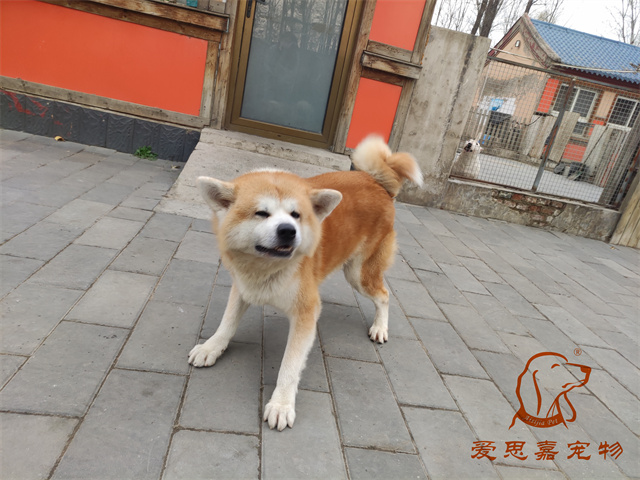 大熊小七 (4).jpg