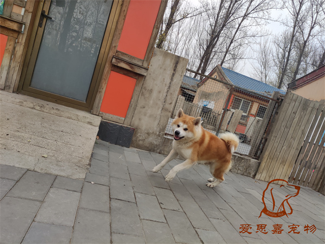 大熊小七 (5).jpg