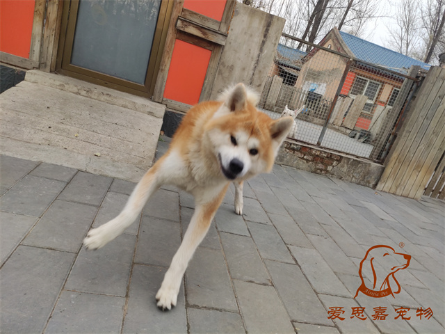 大熊小七 (6).jpg