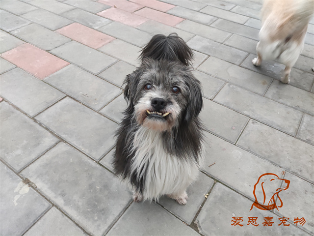 胖丫妞妞 (3).jpg