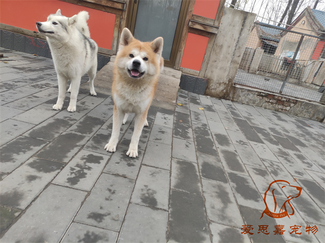 大熊小七 (1).jpg