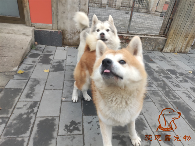 大熊小七 (2).jpg