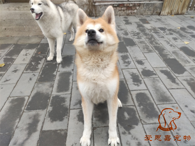 大熊小七 (3).jpg