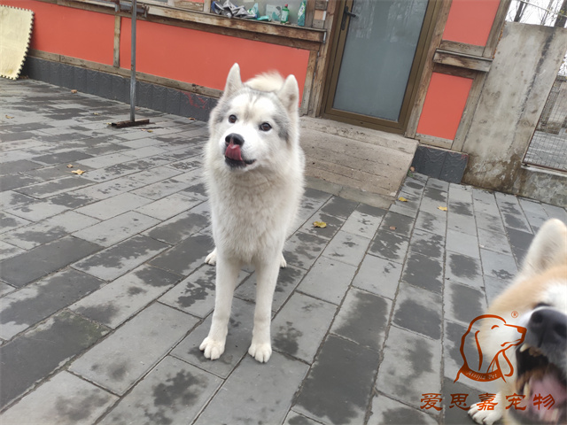 大熊小七 (4).jpg