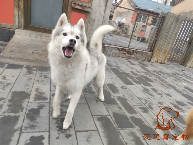 大熊小七 (5).jpg