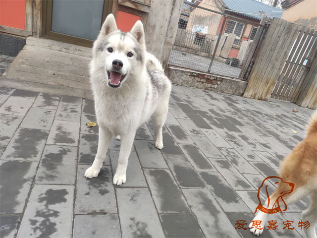 大熊小七 (6).jpg