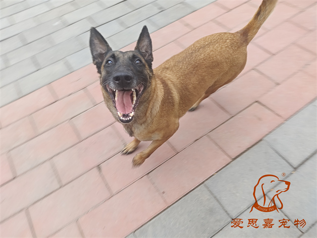 樂樂 (2).jpg