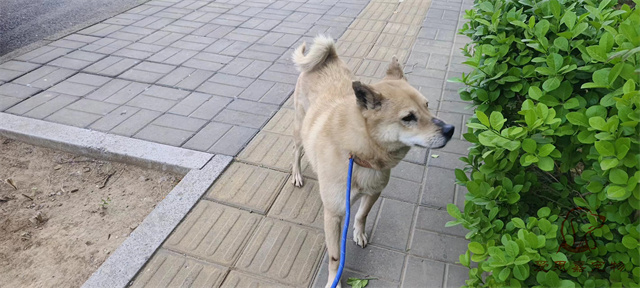 微信圖片_20240418181626.jpg