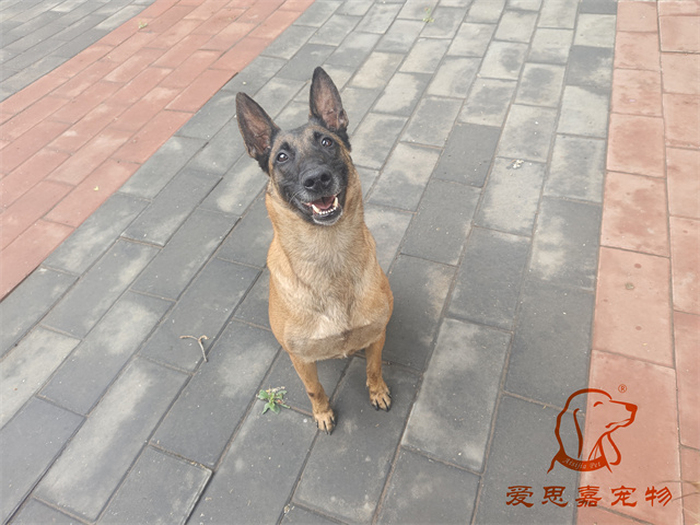 樂(lè)樂(lè) (1).jpg