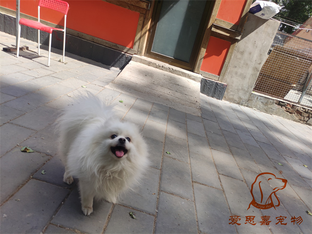 小白小黑 (5).jpg
