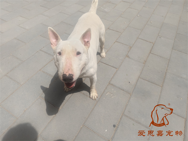 丹佛 (3).jpg
