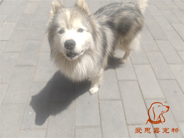 極光 (1).jpg