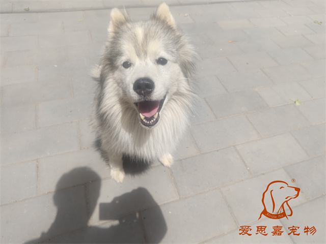 極光 (2).jpg