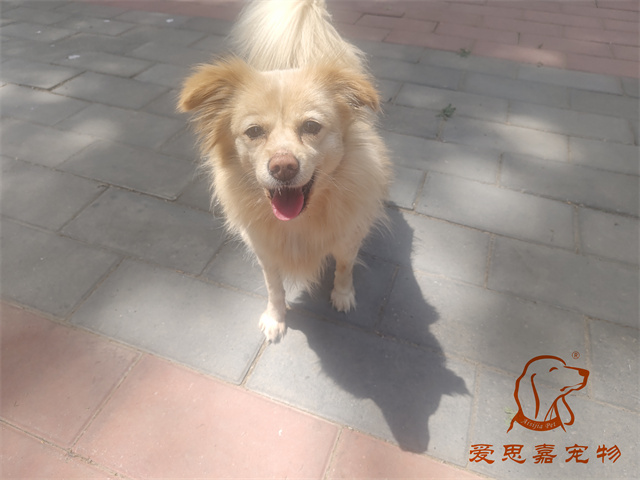 歐尼 (1).jpg