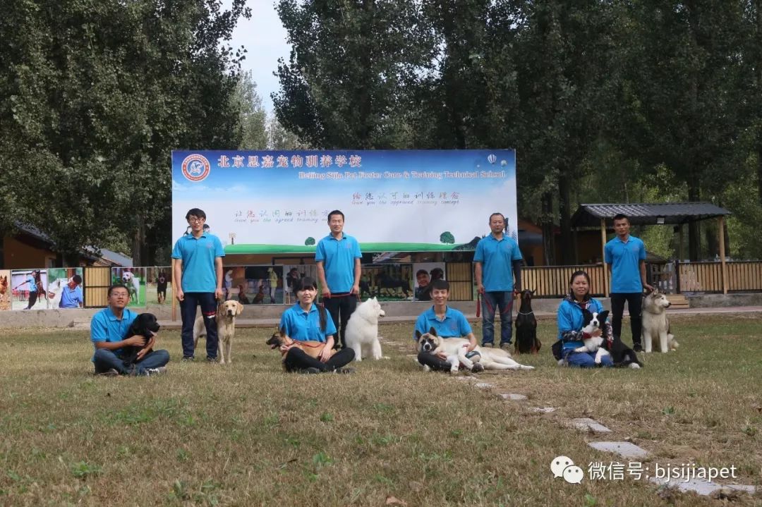 ����ʮ��Ӗ��