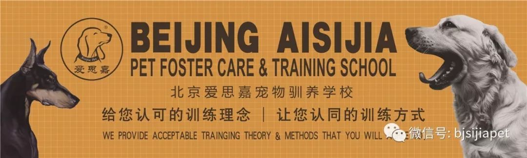 2019�괺��(ji��)���B(y��ng)�A��������