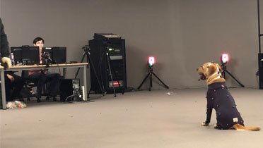 ��ĳ�Ƽ���˾�ṩȮֻ�M�й����\�Ӳ�׽����