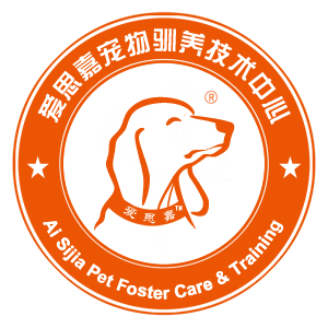 �P��������Ӱ־��ÿ�չ�����Ƭ������Ŀ���֔�����֪ͨ