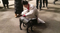 �����Ӱ����Ղ������Ĕz