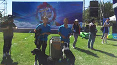 ���ӹ��ܼ�ͥ�ջ��