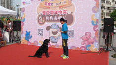 ���Ӑ��ٺ�������ȥ�ă������