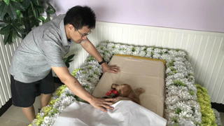 致情-19歲半的美系可卡(公主)