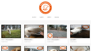 《每日狗狗照片》欄目重新開放