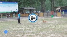 ��ëȮ�ܶ�Ӗ(x��n)��