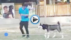 ��ʿ��Ȯ����Ӗ(x��n)��